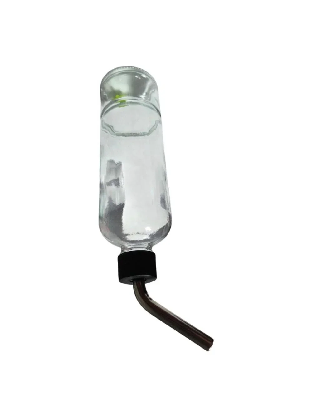 Glass Water Bottle Stainless Steel Straw Green Turtle Float Small Animal
